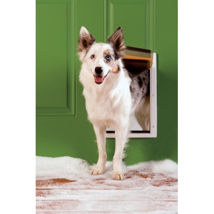 PetSafe Extreme Weather Pet Door - Medium