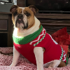 Lucy Christmas Sweater